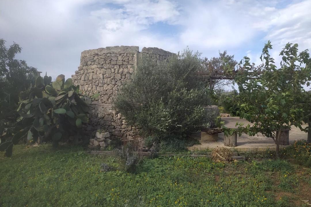 Photo of Others in Alliste