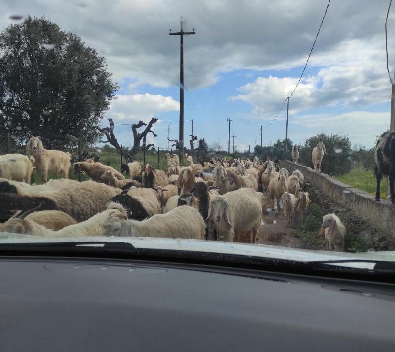 Photo of Others in Alliste