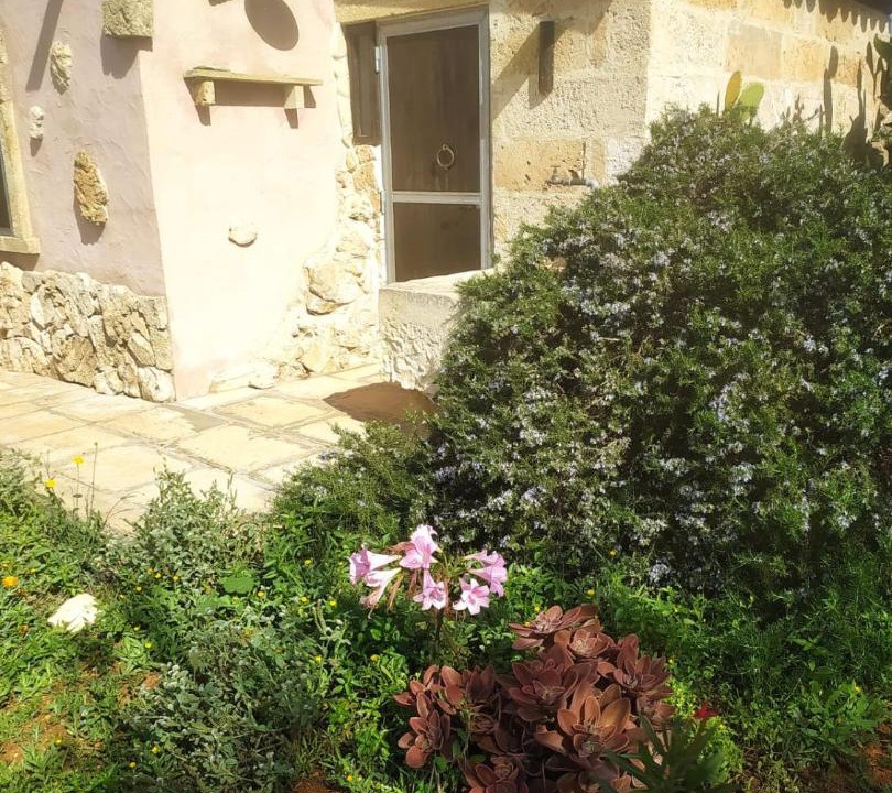 Photo of Others in Alliste
