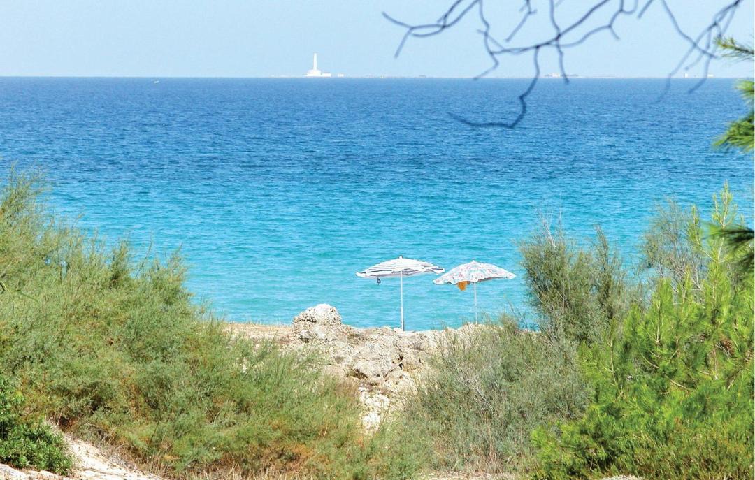 Photo of Others in Lendinuso
