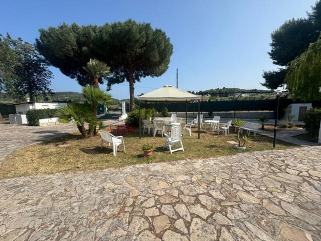 Photo of Others in Montincello