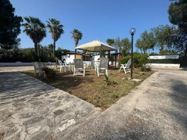 Photo of Others in Montincello