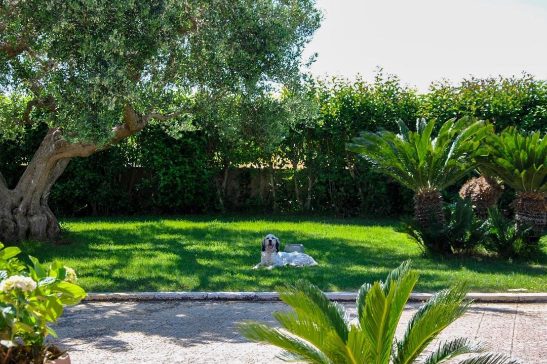 Photo of Others in Martina Franca