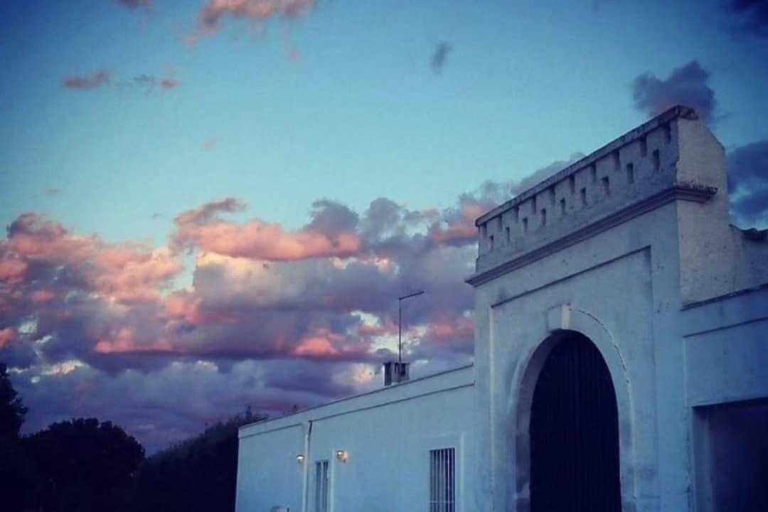 Photo of Others in Ostuni