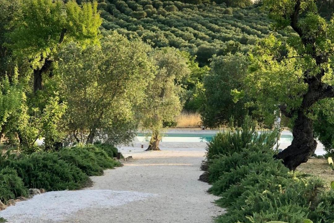 Photo of Others in Ceglie Messapica