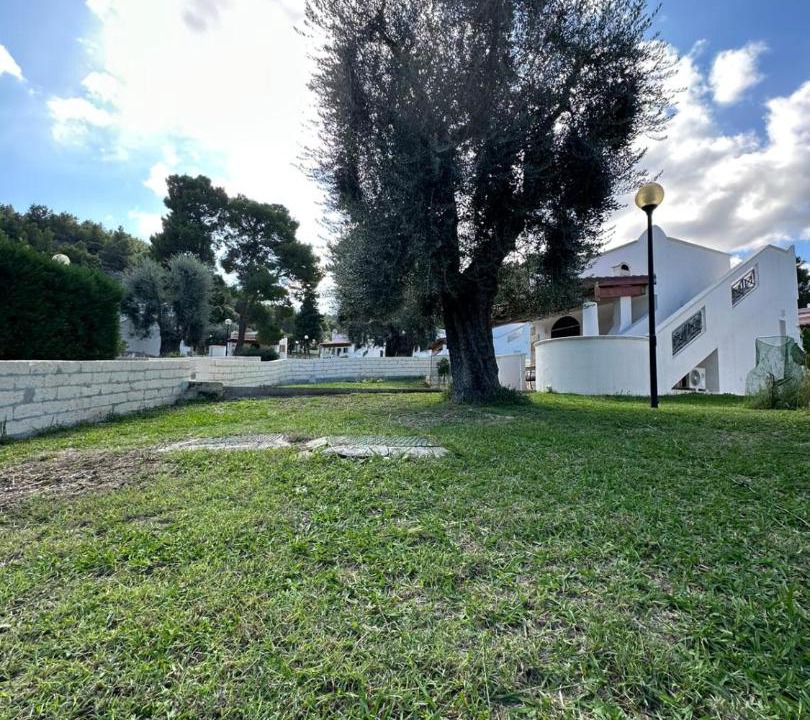 Photo of Others in Pugnochiuso