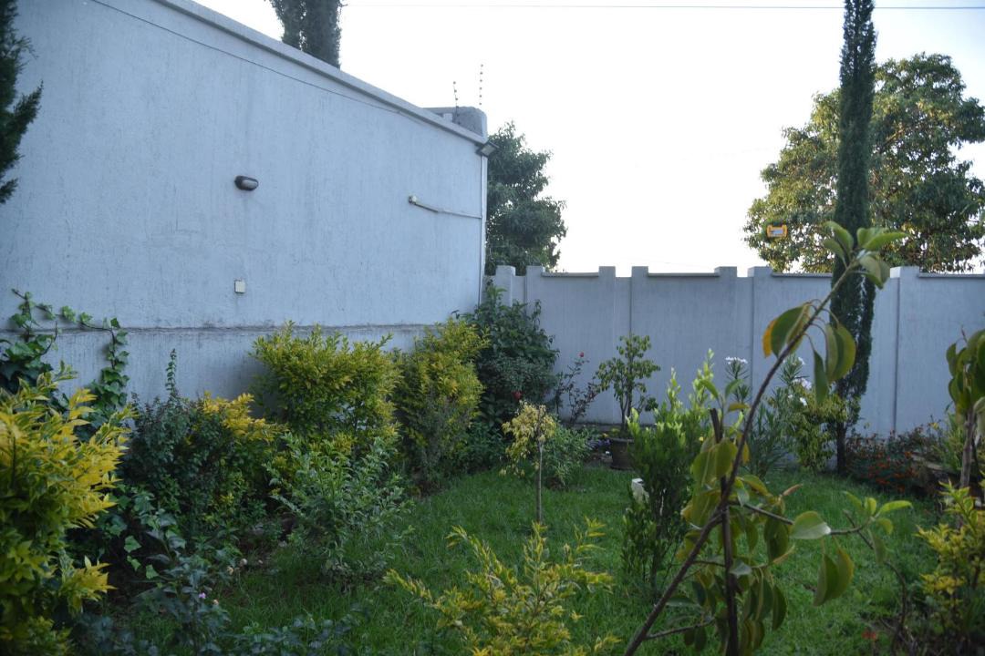 Photo of Others in Lideta