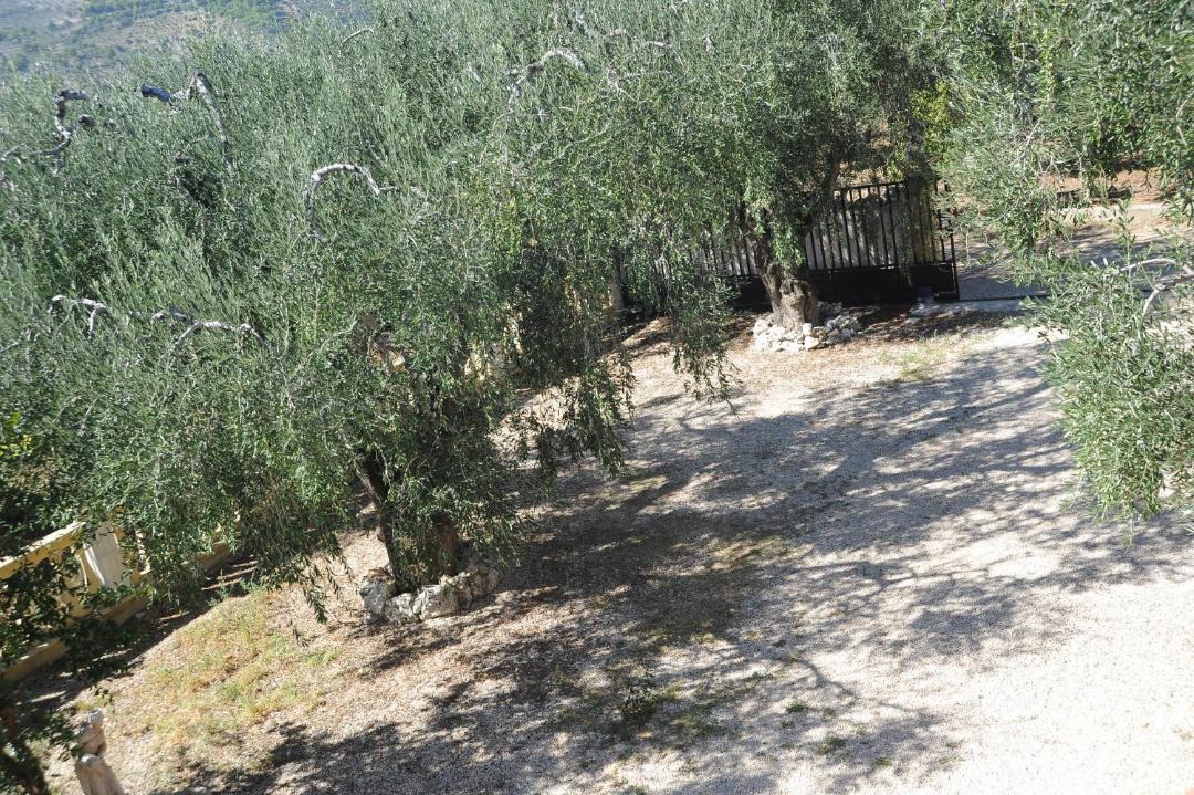 Photo of Others in Mattinata