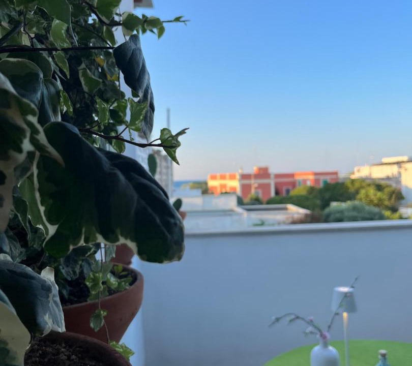 Photo of Patio Balcony in Municipio 5