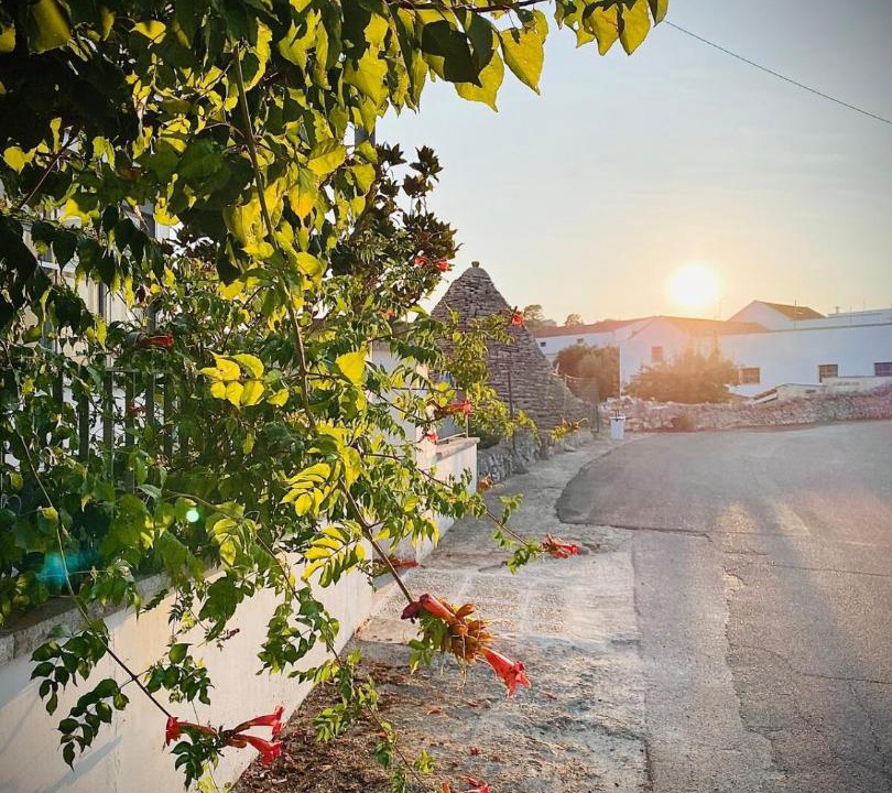 Photo of Others in Alberobello