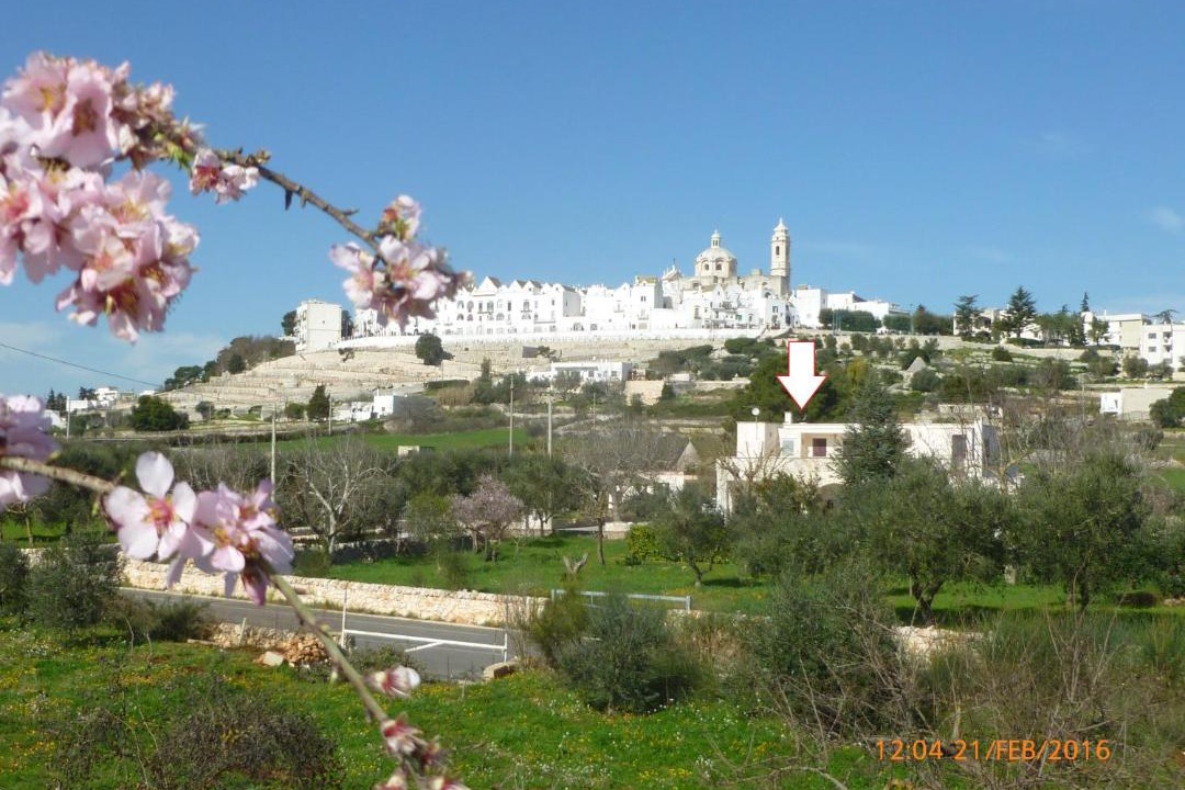 Photo of Others in Locorotondo