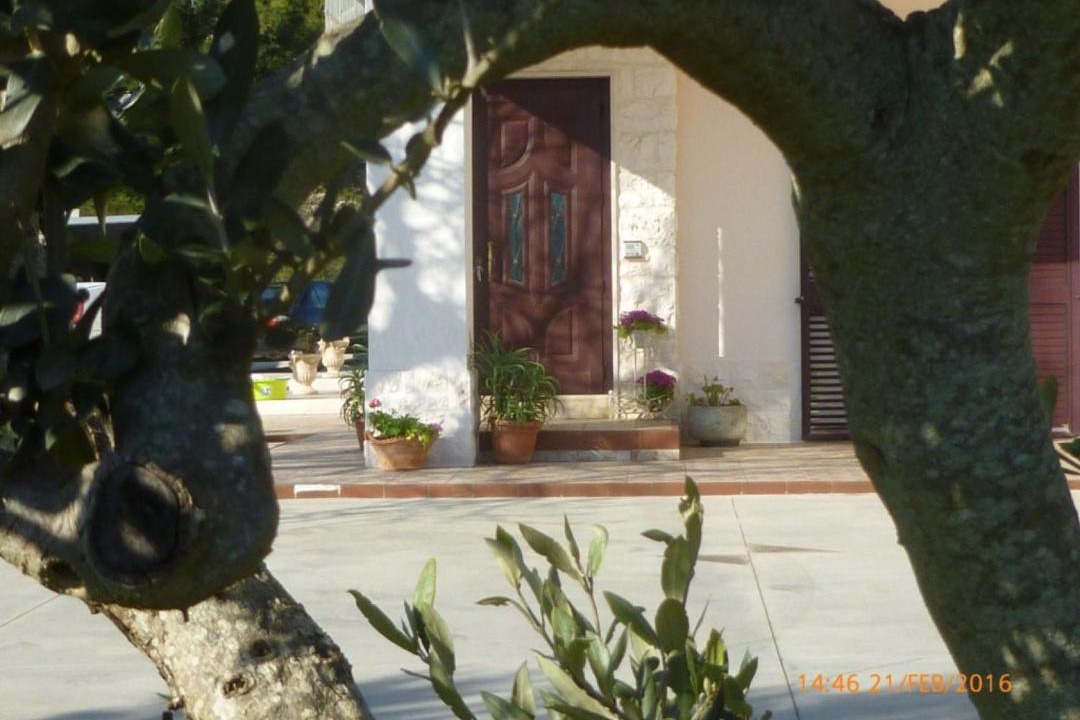 Photo of Others in Locorotondo