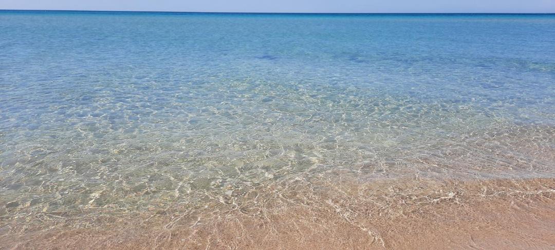 Photo of Others in Lido Marini