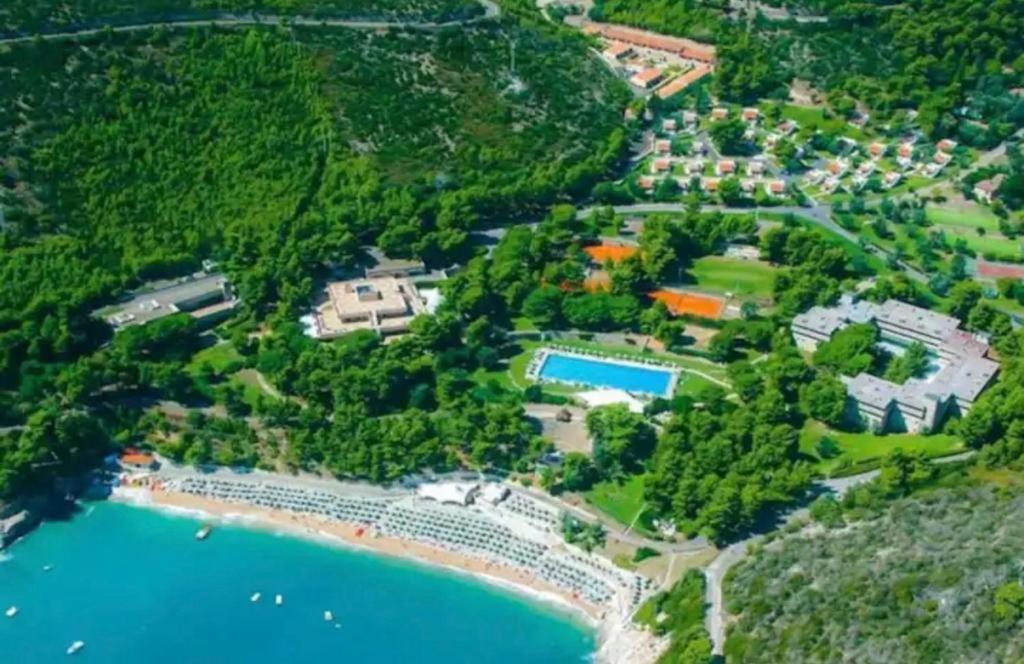 Photo of Others in Pugnochiuso