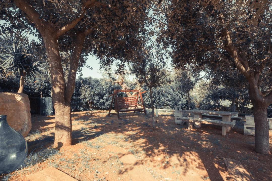 Photo of Others in Locorotondo