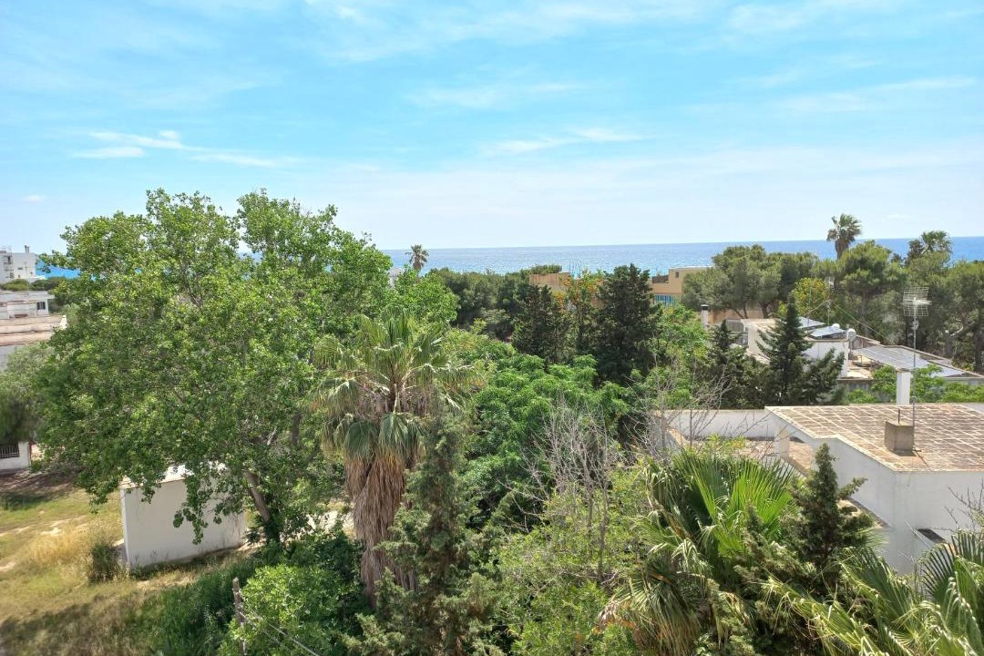 Photo of Others in Baia Verde