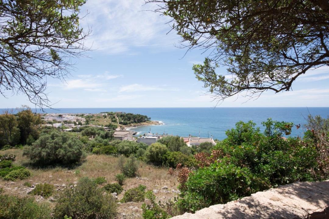 Photo of Others in Torre San Giovanni