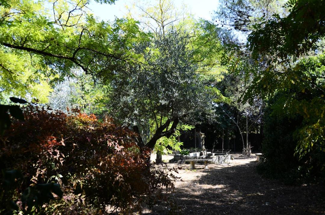 Photo of Others in Altamura