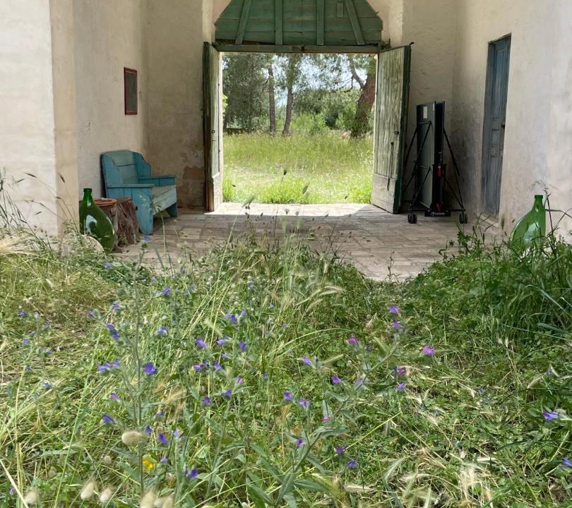 Photo of Others in Santa Maria al Bagno