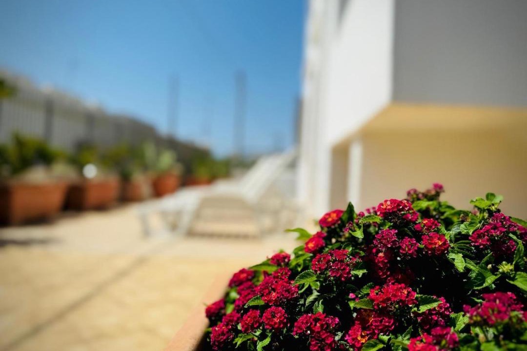 Photo of Others in Santa Maria di Leuca