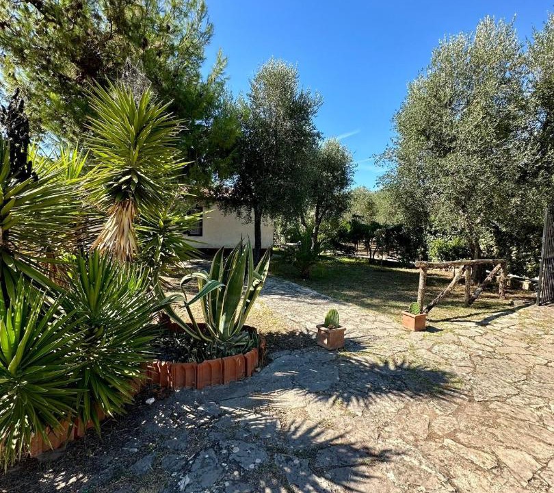 Photo of Others in Montincello