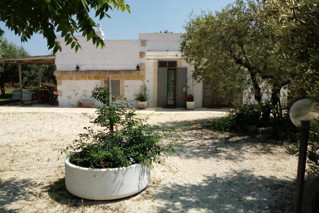 Photo of Others in L'Assunta
