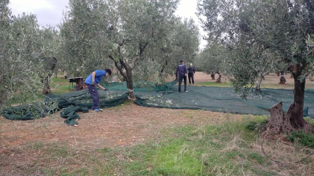 Photo of Outdoor in L'Assunta