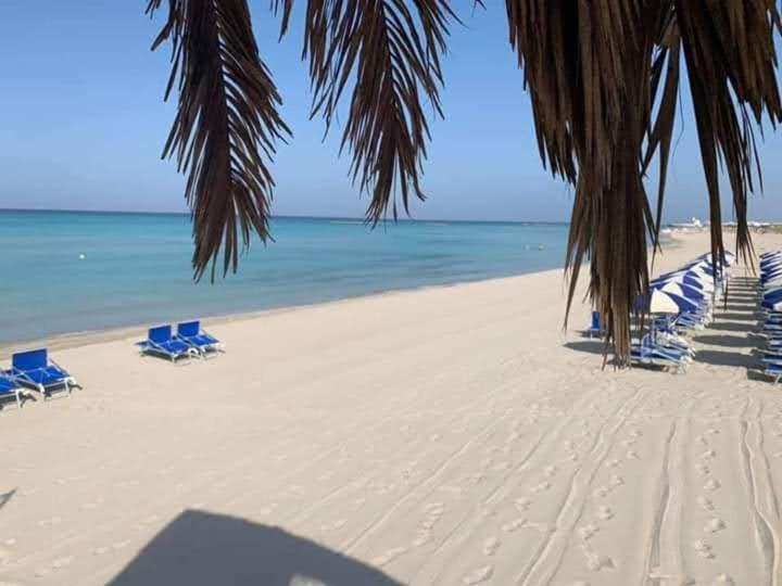 Photo of Others in Torre Mozza