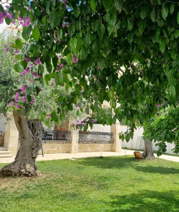 Photo of Others in Municipio 4