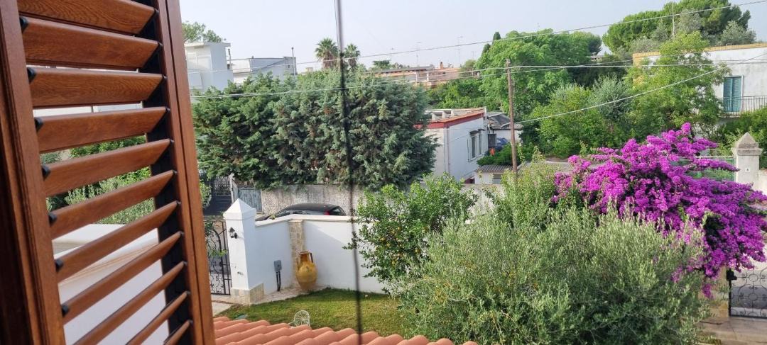Photo of Others in Municipio 4