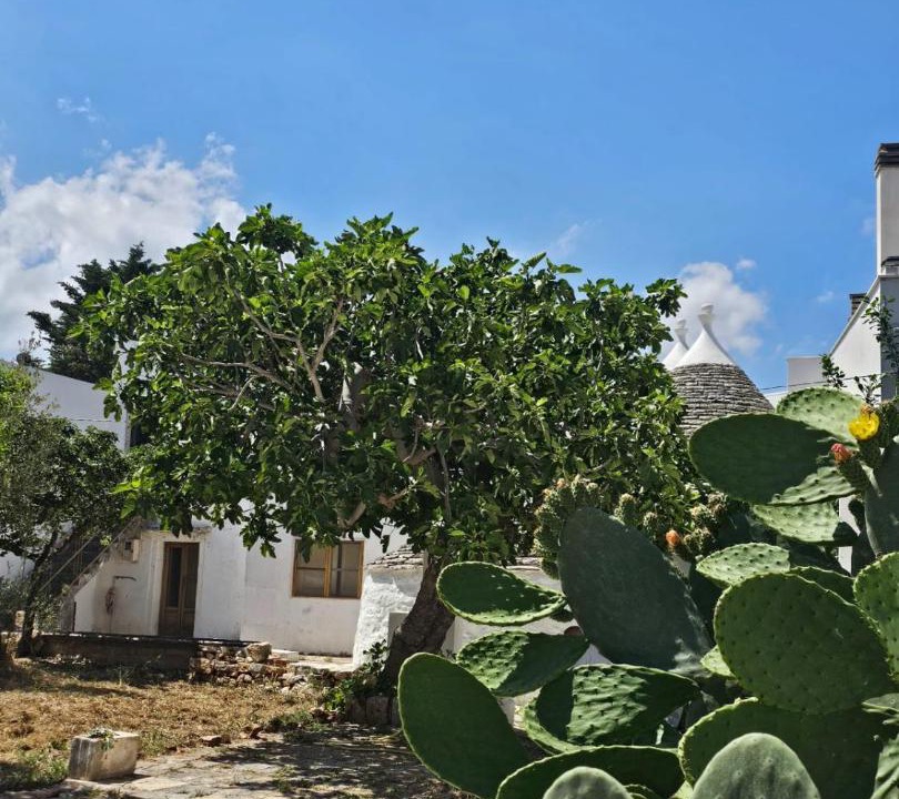 Photo of Others in Alberobello