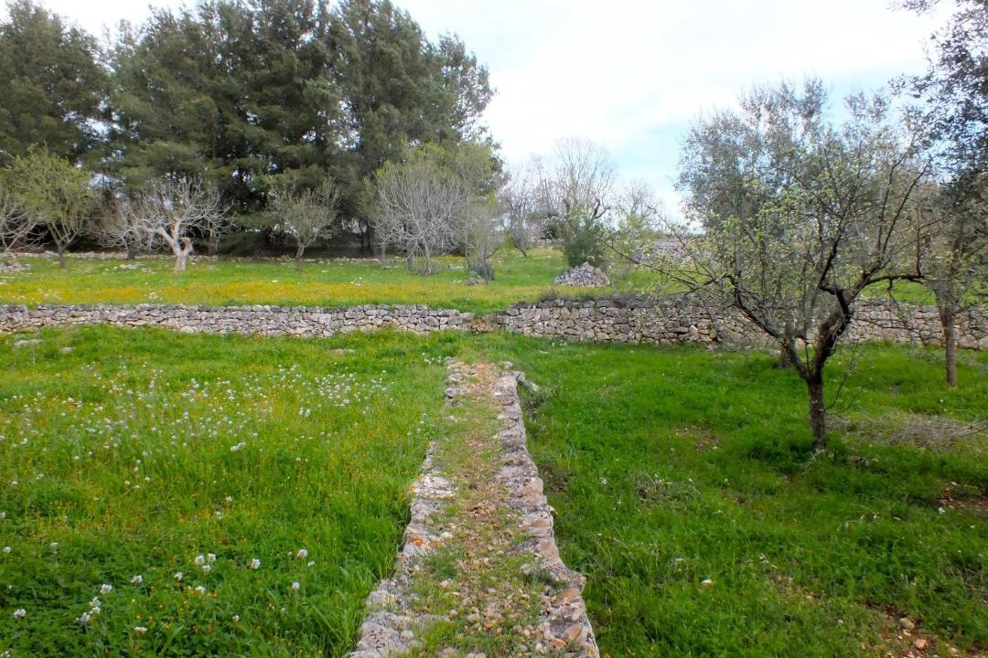 Photo of Others in Ceglie Messapica
