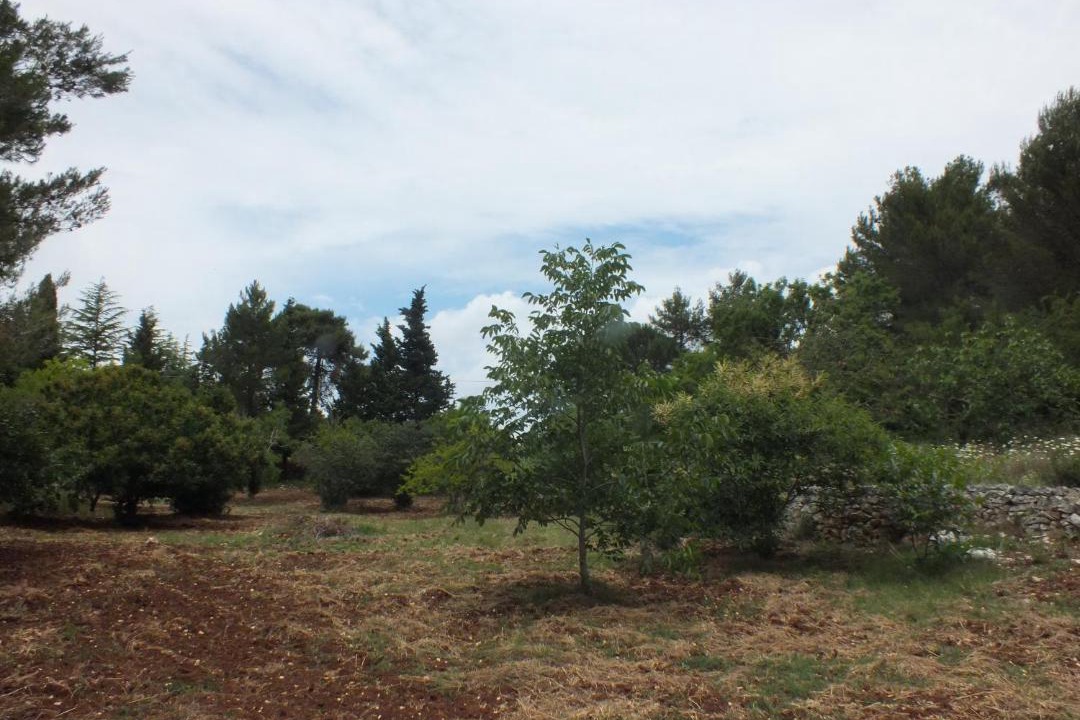 Photo of Outdoor in Ceglie Messapica