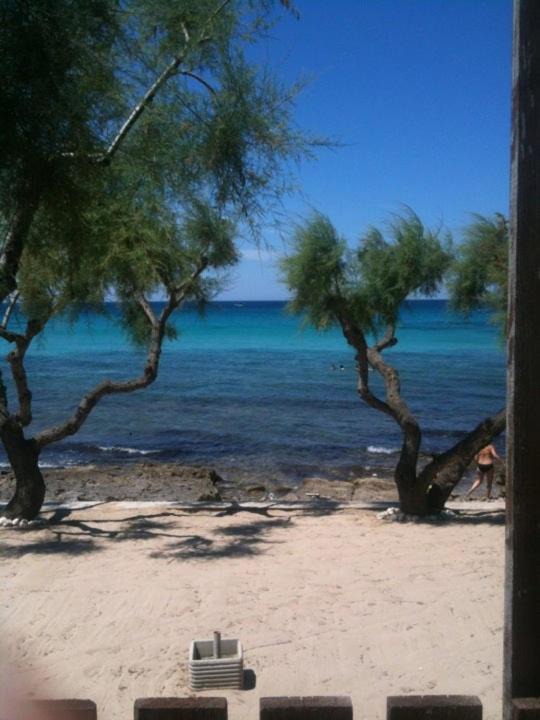 Photo of Outdoor in Lido Conchiglie