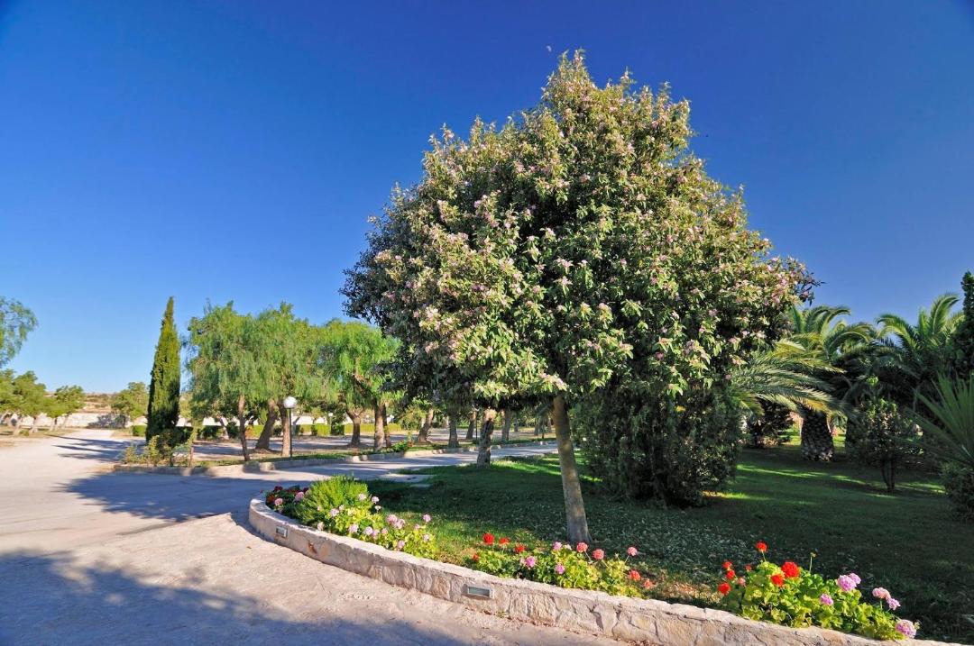 Photo of Outdoor in San Giovanni Rotondo