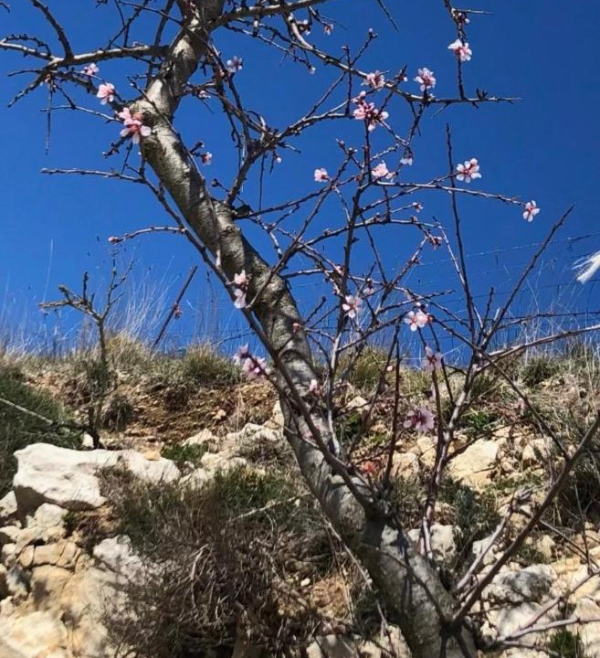 Photo of Outdoor in Monte Sant'Angelo