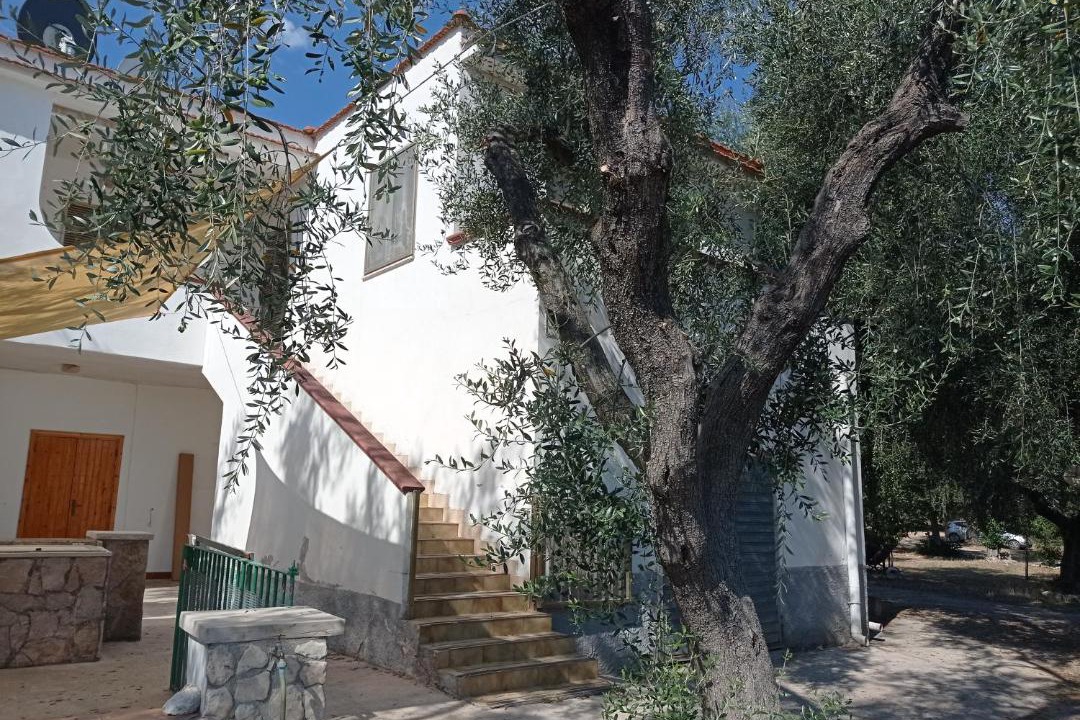 Photo of Others in Montincello