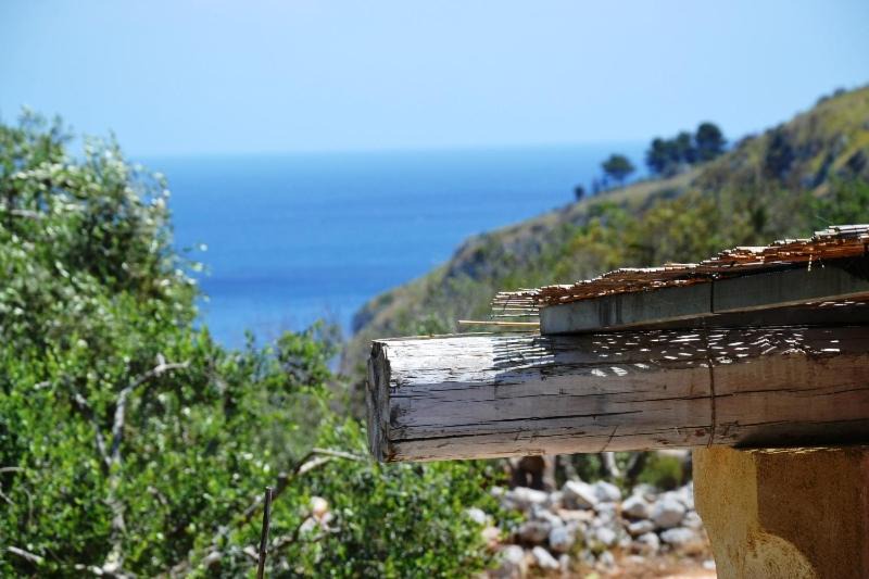Photo of Others in Marina Serra