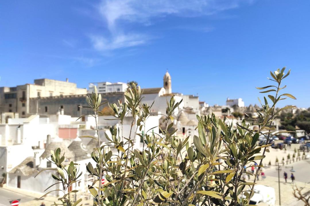 Photo of Others in The Trulli of Alberobello