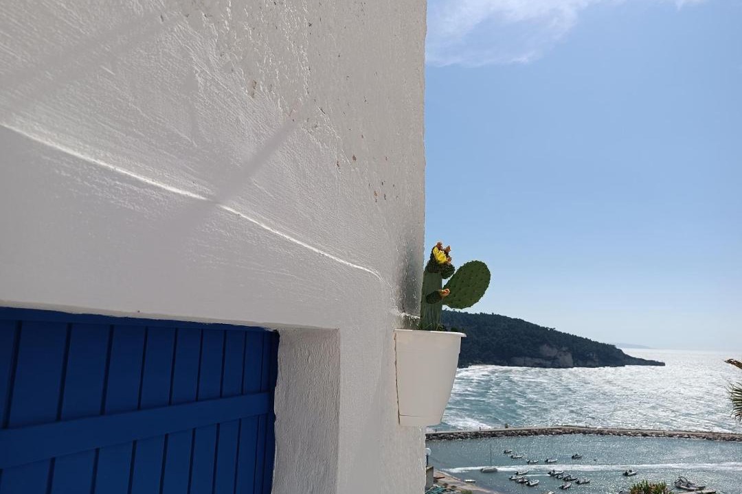 Photo of Others in Peschici