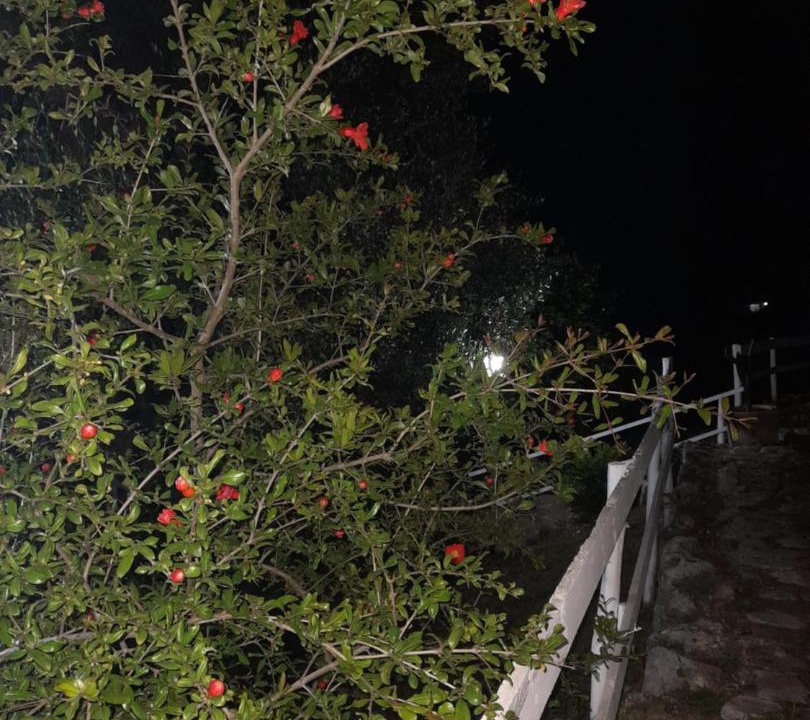 Photo of Others in Peschici