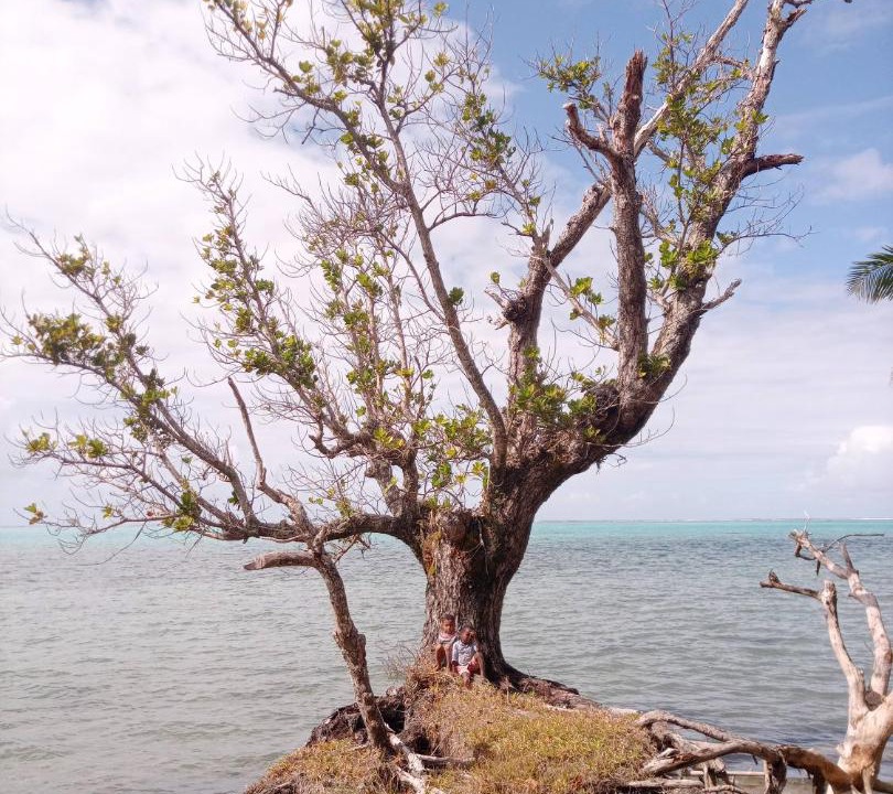 Photo of Others in Nosy Boraha