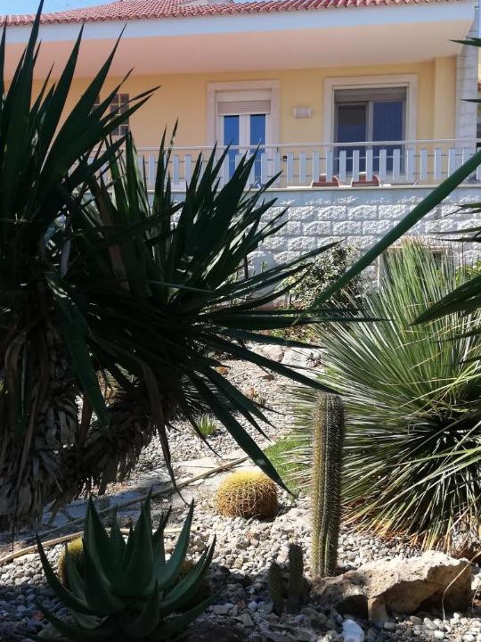 Photo of Buildings in Cozze