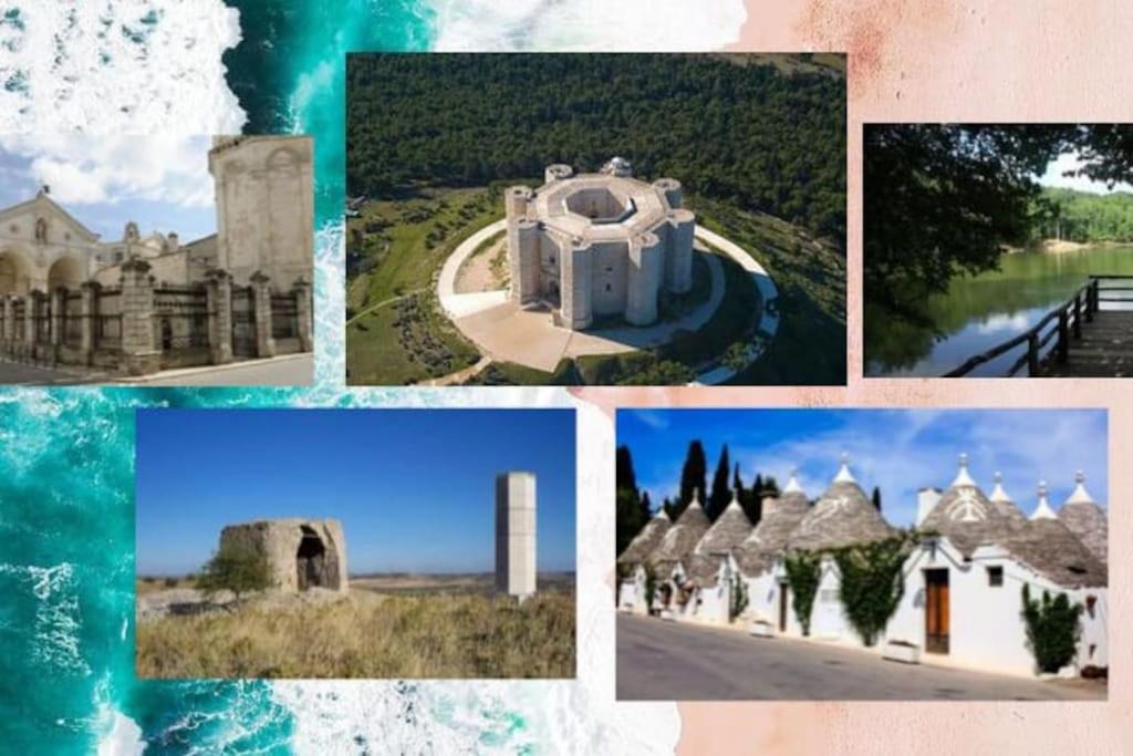 Photo of Others in Bitonto