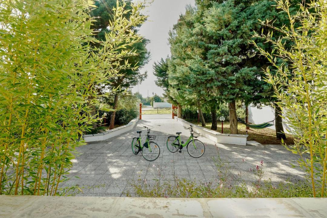 Photo of Others in Scala di Furno