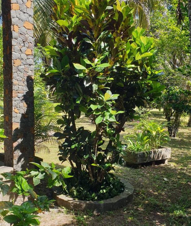 Photo of Others in Nosy Boraha