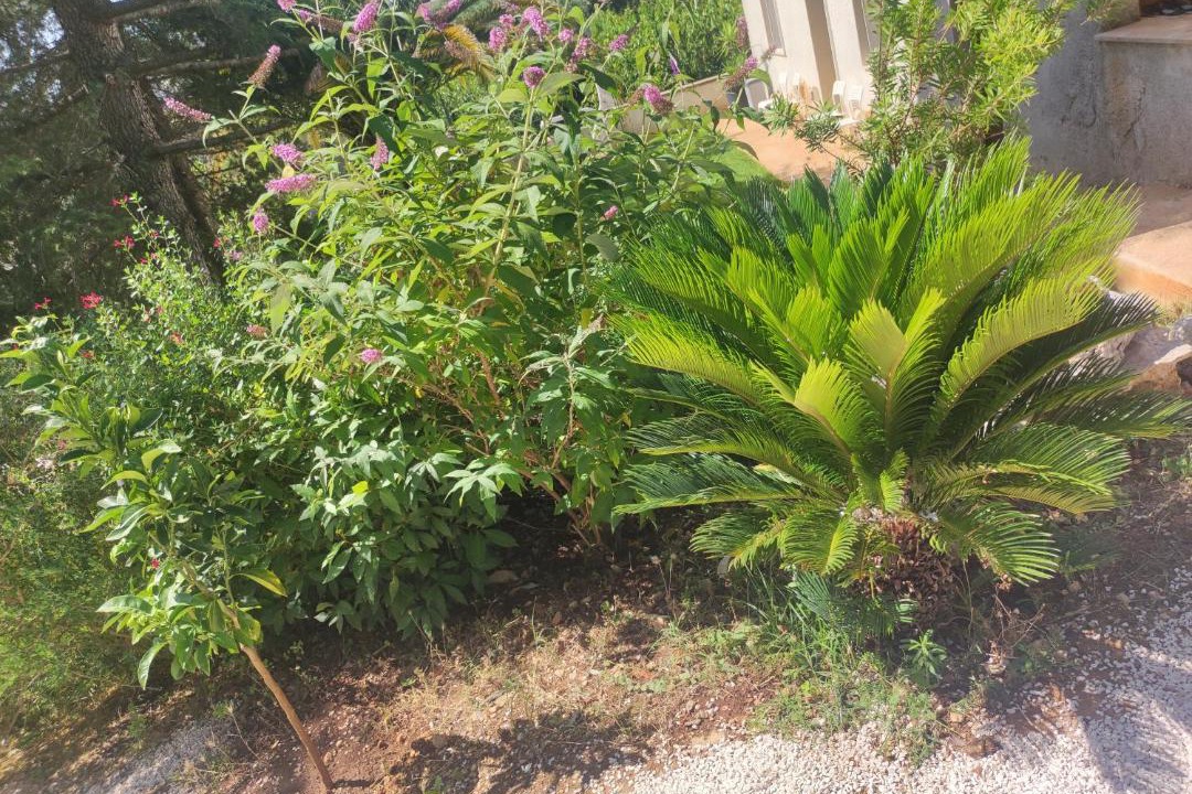 Photo of Outdoor in Putignano