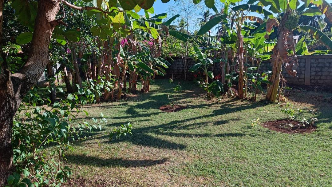 Photo of Outdoor in Ambondrona