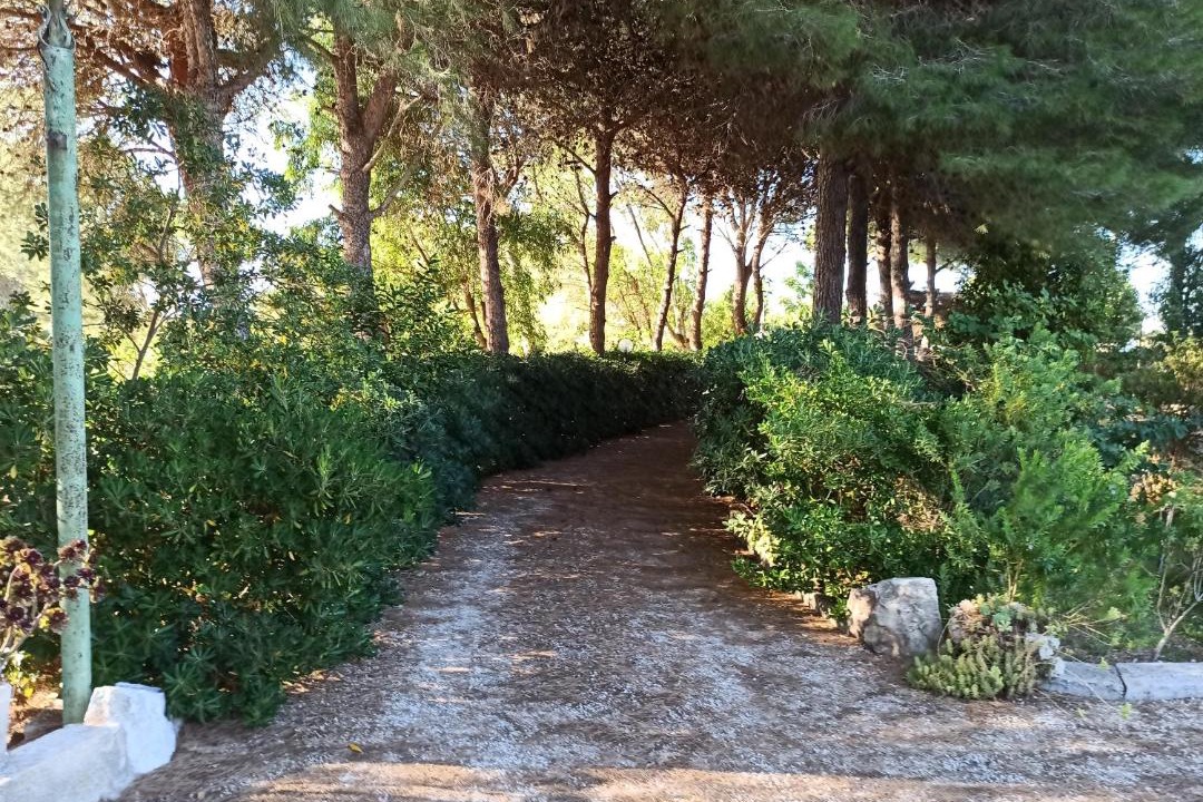 Photo of Others in Giorgilorio