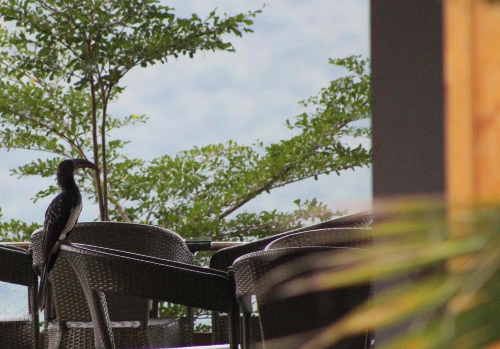 Photo of Patio Balcony in Arba Minch